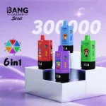 BANG LEADER STOLL 300K Puffs – 6 v 1 Príchute | Ultra Výkonný Nabíjateľný Disposable Vape pre Veľkoobchod