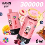 BANG LEADER STOLL 300K Puffs – 6 v 1 Príchute | Ultra Výkonný Nabíjateľný Disposable Vape pre Veľkoobchod – Obrázok 7