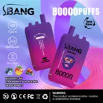 Bang Leader 80000 Puffs – 3 v 1 Chuťový Systém pre Maximálny Vaping Zážitok – Obrázok 11