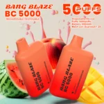 Bang Blaze BC 5000 Puffs – Kompaktný jednorazový vape s 12 príchuťami – Obrázok 5